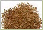 Ayurvedic Herbs