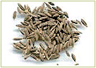 Ayurvedic Herbs